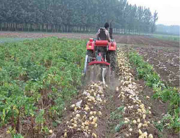 الصين Two Rows Small Agricultural Machinery Small Scale Farming Equipment المزود